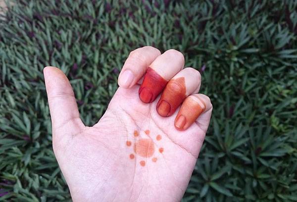Dibujo de henna en la mano.