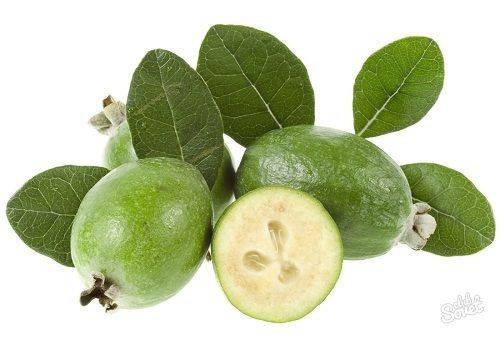  feijoa