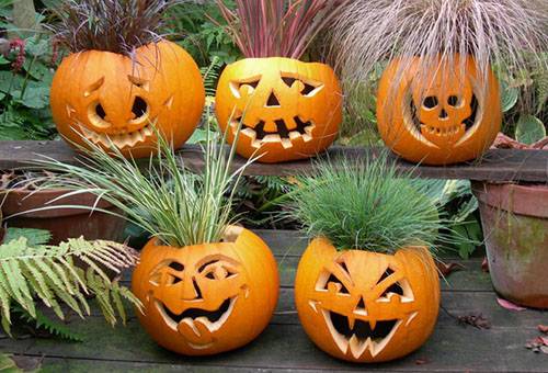 Citrouilles pour Halloween