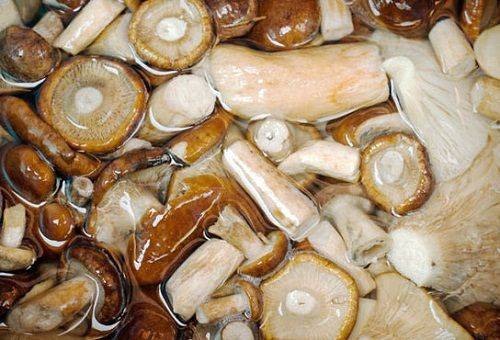 champignons trempés dans l'eau