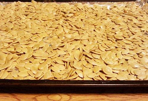 Secar semillas de calabaza en el horno.