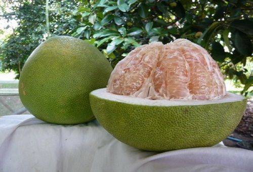 pomelo z exotického ovocia