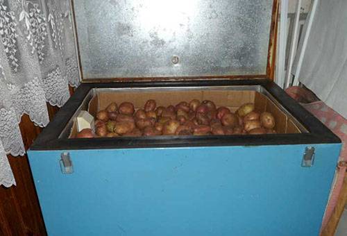 Termokapp kartulitega
