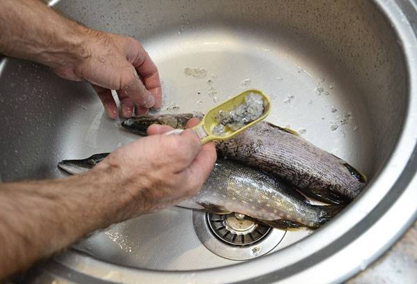 nôž so zúbkovaním na čepeli, ktorý uľahčuje oddelenie šupín