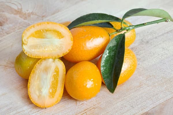 Kumquat augļi un lapas