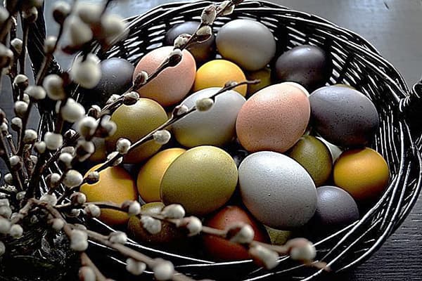 Huevos coloreados con tintes naturales.