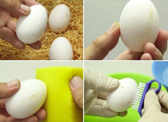 Methods for cleaning eggs