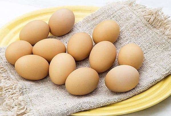 chicken eggs