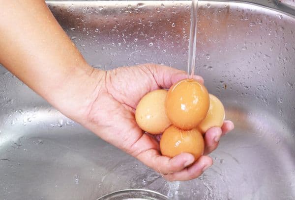 Washing eggs