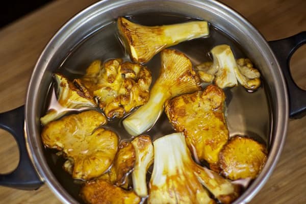 Champiñones en una olla con agua.