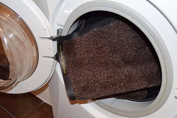 Vaiba pesemine pesumasinas