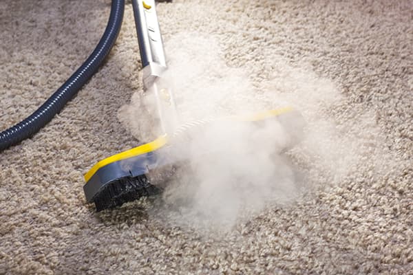 Steam cleaner on carpet