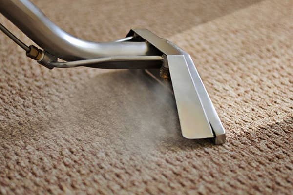 Limpando carpetes com limpador a vapor