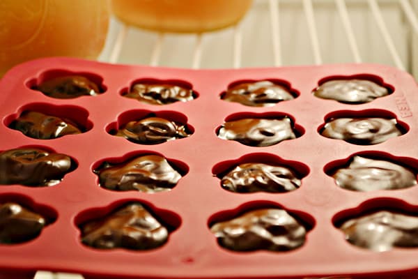 Congelar chocolate en moldes