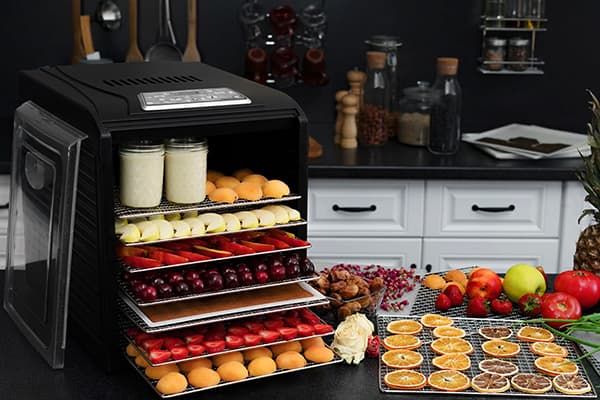 Fruits in a dehydrator