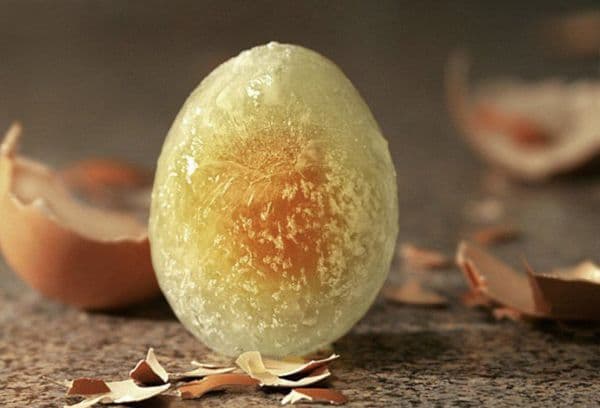 Terve külmutatud muna