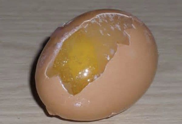 Külmutatud muna