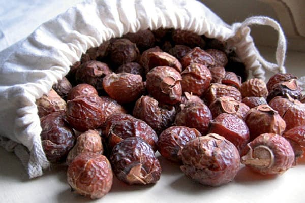 Seebipähklid