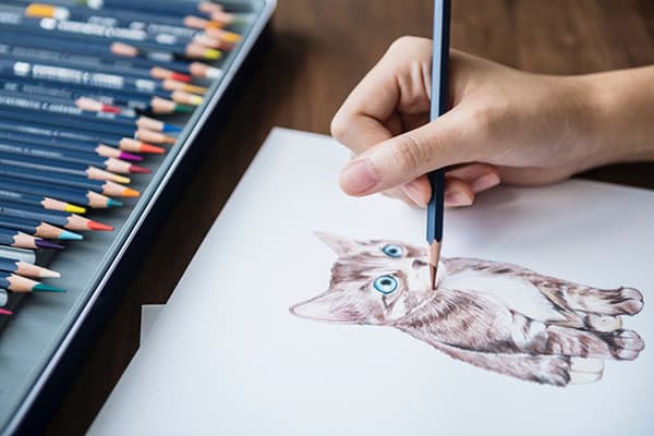Dibujar un gatito con lápices de colores.