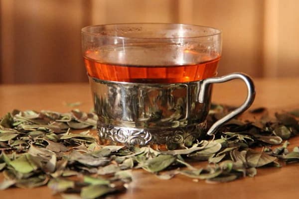 Lingonberry leaf tea