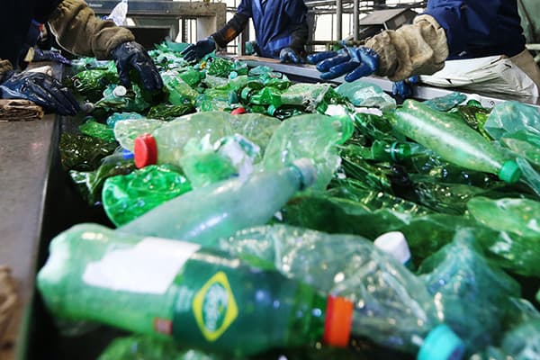 Planta de reciclaje de botellas de plástico.
