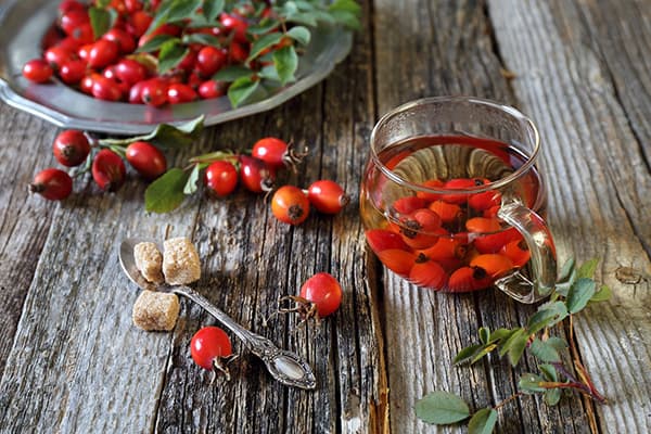 Tea with rose hips