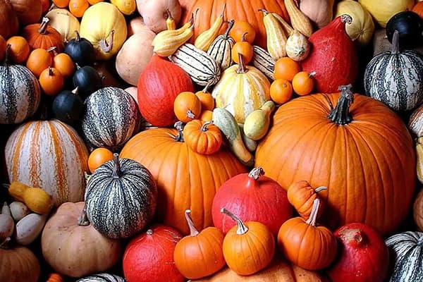 Pumpkins of different types