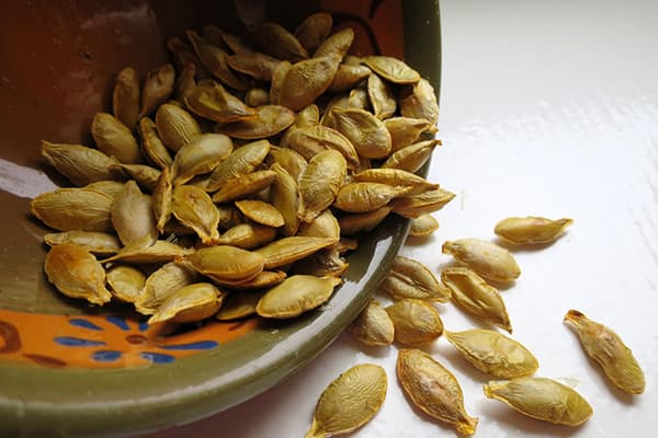 Gymnosperm pumpkin seeds