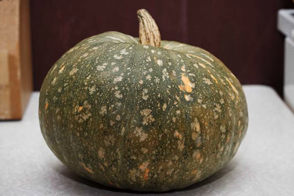 Pumpkin with green skin