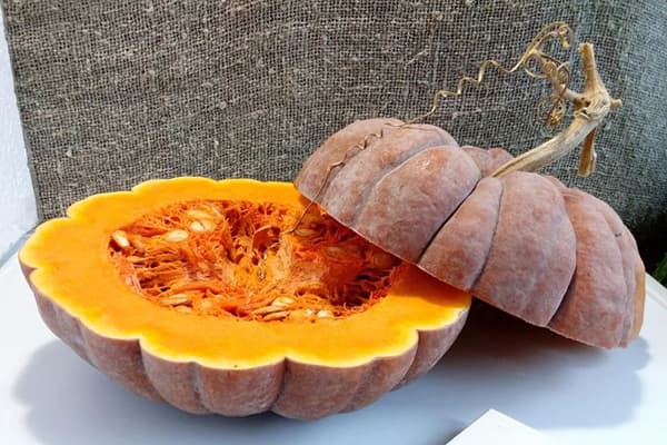 Calabaza madura en sección