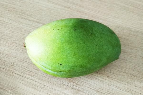 Küpsemata mango vili