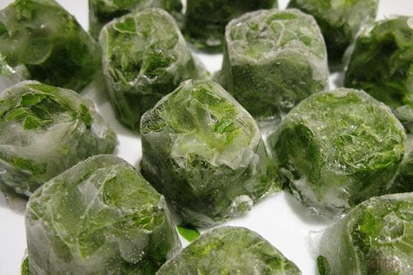 Jääkuubikutes külmutatud roheline sibul