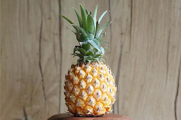 Ananas regal