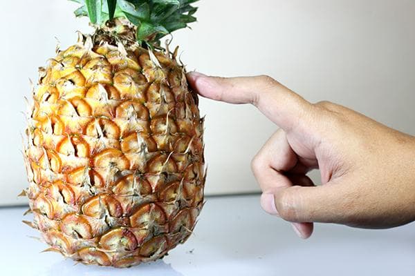 Kontrollera mognad av ananas genom att trycka på vågen