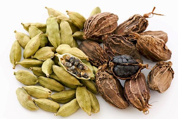 Two types of cardamom