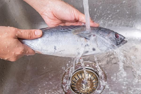 Nagde-defrost ng isda sa ilalim ng tubig na tumatakbo