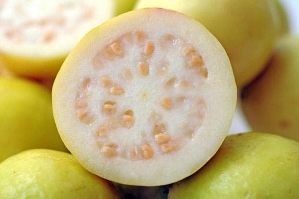 Guava met wit vruchtvlees