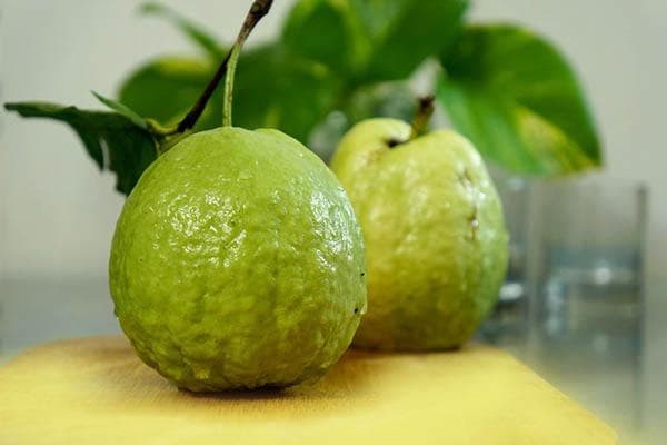 Frutas frescas de goiaba