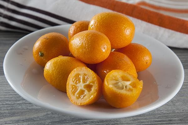 Kumquat on a saucer