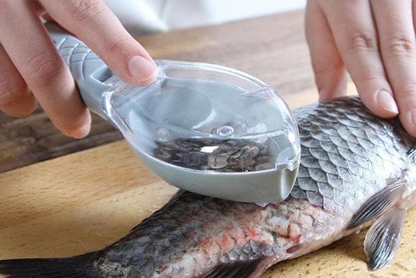 Cuchillo limpiador de pescado con depósito.