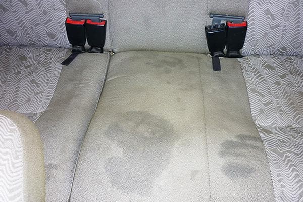 Physiological contaminants in the back seat of a car 