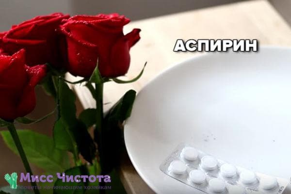 Aspiriin roosidele vaasis