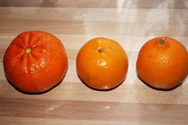 Kolm erinevat sorti mandariini