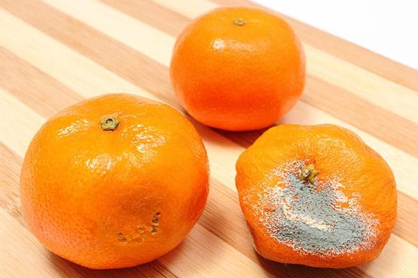 Värsked ja riknenud mandariinid