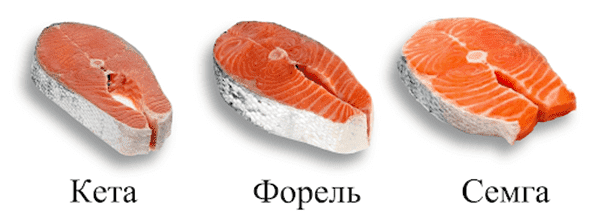 Filetes de salmón chum, trucha y salmón