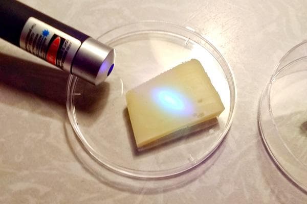 Ultraviolet Cheese Testing