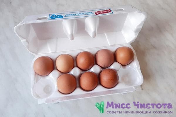 Mga itlog ng manok sa isang tray ng transportasyon