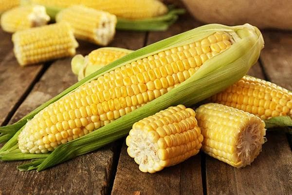 Sweet corn