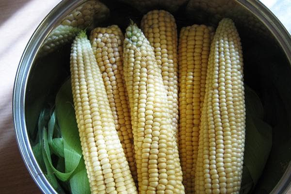 Mga corn cobs sa isang kawali