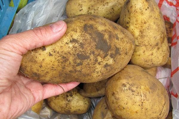 Patatas en una bolsa de plástico.